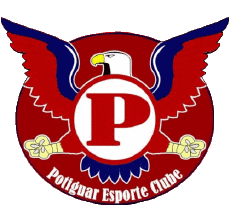 Deportes Fútbol  Clubes America Logo Brasil Rio Grande do Norte Potiguar Esporte Clube 