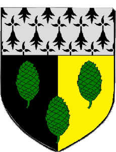 Flags France Departments - Cities 22 SABLES D OR LES PINS 