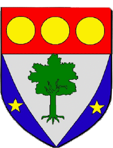 Bandiere Francia Dipartimenti - Città 08 VRIGNE AUX BOIS 