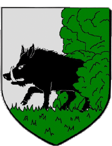 Drapeaux France Départements - Villes 49 BAUGE 