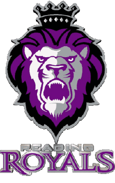 Sportivo Hockey - Clubs U.S.A - E C H L Reading Royals 