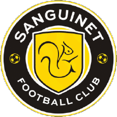 Sports Soccer Club France Nouvelle-Aquitaine 40 - Landes Sanguinet FC 