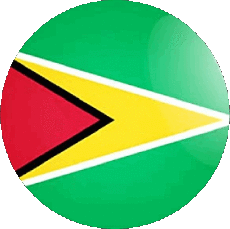 Fahnen Amerika Guyana Runde 
