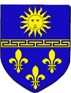 Banderas Francia Departamentos - Ciudades 10 NOGENT SUR SEINE 