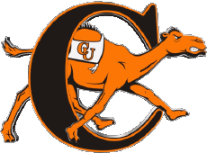 Deportes N C A A - D1 (National Collegiate Athletic Association) C Campbell Fighting Camels 