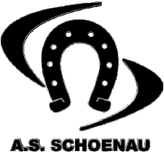 Sports Soccer Club France Grand Est 67 - Bas-Rhin AS Schoenau 