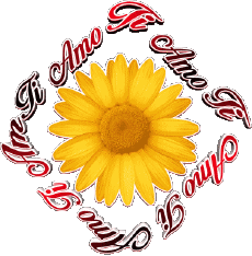 Messages Italian Ti Amo 02 