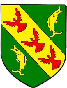 Bandiere Francia Dipartimenti - Città 55 THIERVILLE SUR MEUSE 