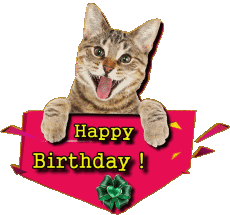 Nachrichten Englisch Happy Birthday Animals 002 