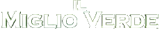 Multimedia Film Internazionale Il Miglio Verde Logo Italiano 