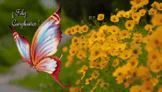 Messages Spanish Feliz Cumpleaños Mariposas Animated Background 004 