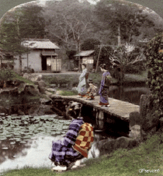 Humour - Fun 3D Effets Stéreoscopique Wiggle 