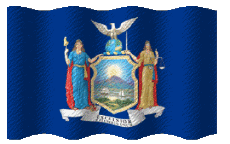 Bandiere America U.S.A - Stati New York Sventola 