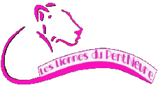 Sports Soccer Club France Bretagne 22 - Côtes-d'Armor Les Lionnes du Penthièvre 