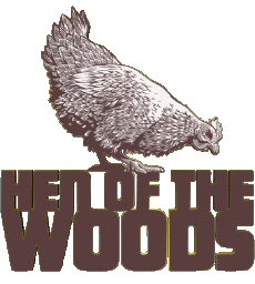 Comida Aperitivos - Chips - Snack U.S.A Hen of the Woods 