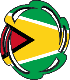 Bandiere America Guyana Forma 01 