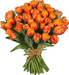 Messages Anglais Happy Birthday Floral Fond Transparent 012 