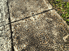 Humor - Fun GIF Artista Bill Tavis 