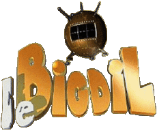 Multi Média Emission  TV Show Le Bigdil 