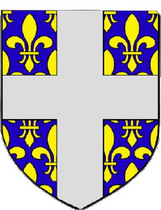 Banderas Francia Departamentos - Ciudades 08 JUNIVILLE 