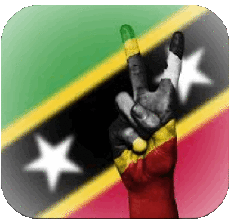 Bandiere America Saint Kitts e Nevis Quadrato 2 