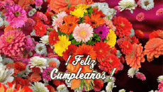 Messagi Spagnolo Feliz Cumpleaños Floral Sfondo animato 003 