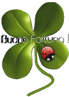 Messages Italian Buona Fortuna 01 