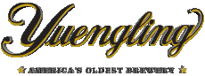Boissons Bières USA Yuengling 