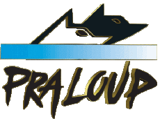 Sports Ski - Resorts France Southern Alps Pra Loup 