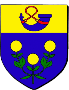 Fahnen Frankreich Abteilungen - Städte 84 ORANGE 