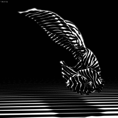 Humor -  Fun GIF Artists Bill Tavis 