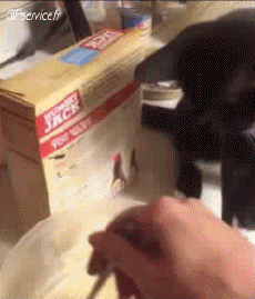 Humour - Fun Animaux Chats Serie 06 