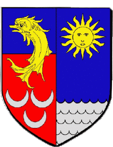 Bandiere Francia Dipartimenti - Città 38 BOURGOIN JALLIEU 