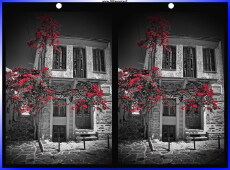 Matrice-Umorismo -  Fun Effetti 3d Stéreoscopique Wiggle avec Matrice 