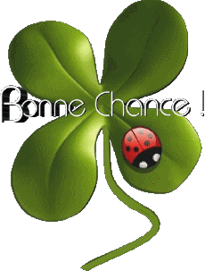Messagi Francese Bonne Chance 01 