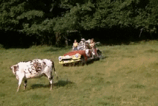 Multi Média Cinéma - France Les Charlots Les Bidasses en Folie - Vidéo 