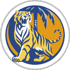 Drinks Beers Singapore Tiger 