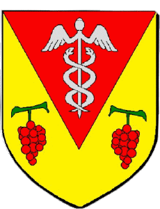 Banderas Francia Departamentos - Ciudades 71 MERCUREY 