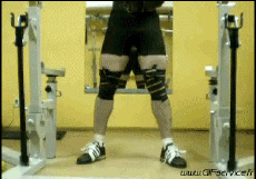 Humour - Fun Sports Haltérophilie Gamelle Fail 