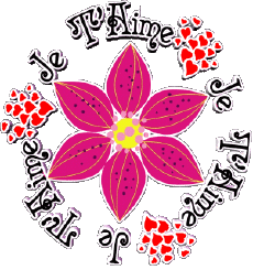 Messages Français Je T'aime 02 