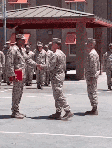 Humor - Fun GENTE Militar Serie 01 