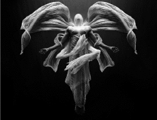 Humor -  Fun GIF Künstler George RedHawk - Noir et blanc 