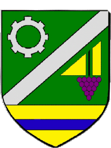 Wappen-Fahnen Frankreich Abteilungen - Städte 45 SAINT JEAN DE LA RUELLE Wappen