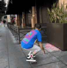 Humor -  Fun Sports Skateboard Free Style Fun - Win 03 