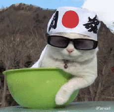 Humour - Fun Animaux Chats Serie 04 