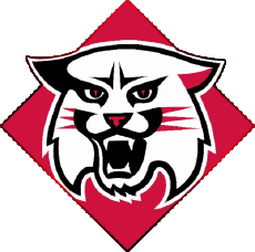 Deportes N C A A - D1 (National Collegiate Athletic Association) D Davidson Wildcats 