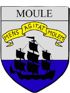 Blason-Drapeaux France Départements - Villes 971 LE MOULE 