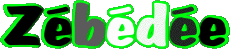 Prénoms MASCULIN - France Z Zébédée 