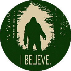 Bevande Birre USA Great Divide 