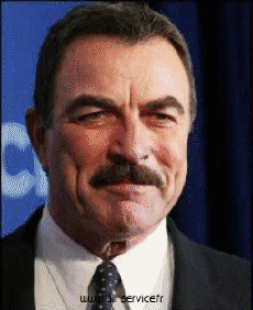 tom selleck-Humour - Fun Morphing - Ressemblance People - Vip Série 02 tom selleck